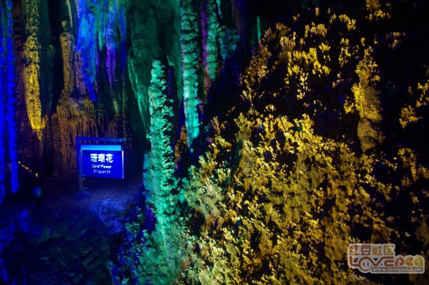 竞技宝登录